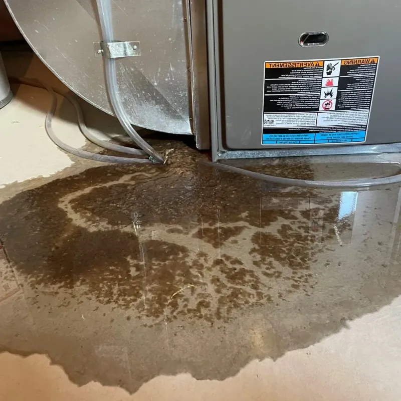 Pipe Burst and Leak Restoration in Lagrange, IN