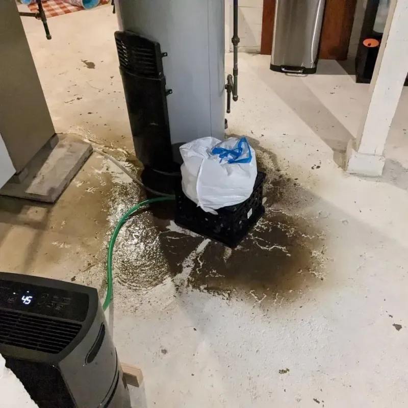 Sewage Backup Cleanup Service in Lagrange, IN